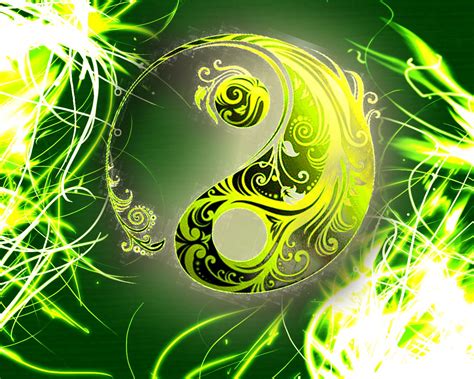 Le Yin Et Le Yang De La Nature Yin Yang Yin Yang Meaning Yin Yang Art