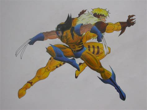 Wolverine Vs Sabretooth Raymond659 Flickr