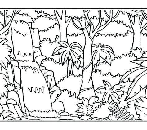 Rainforest Coloring Pages For Kids At
