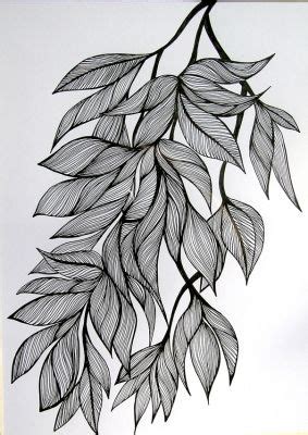 Magnolia flower and leaves line drawing illustration with line art on white backgrounds. leaves drawing - Google zoeken | Flower drawing design ...