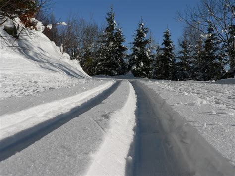 « ce qui sert pour une course de fond ». Běžky - SkiKarlov.cz