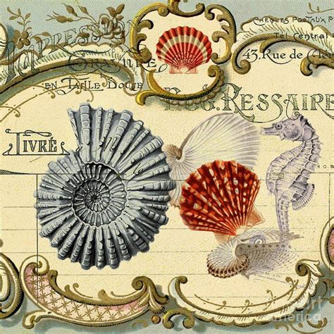Vintage French Botanical Art Sea Shells Seahorse Still Life Digital Art