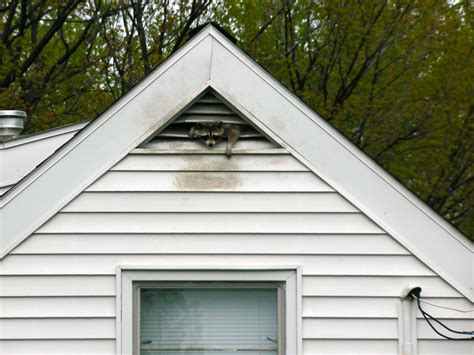 We have very effective ways to protect your property from termites. Wildlife Damage Control - Jones Pest Control Inc.