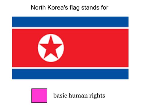 480 x 360 jpeg 21 кб. Basic Human Rights | Flag Color Representation Parodies ...