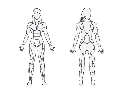 See more ideas about anatomy reference, female anatomy, female anatomy reference. MuscleWiki: Choose between male and female to view the ...