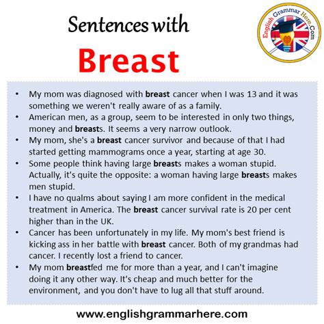 Sentences With Breast Breast In A Sentence In English Sentences For Breast English Grammar Here