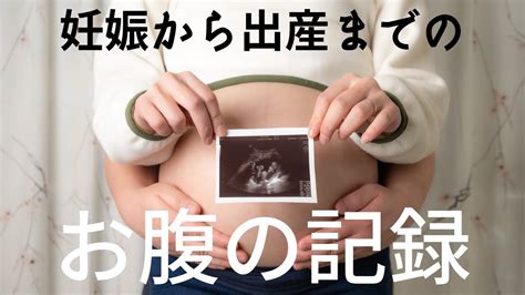 【お腹の変化】妊婦から出産までのお腹の記録【pregnancy Transformation】7週から39週、産後のお腹タイムラプス初産