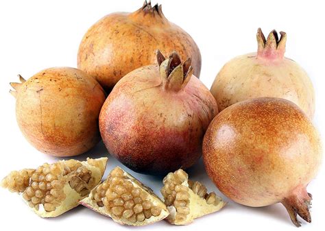 Maybe you would like to learn more about one of these? White Pomegranates Information and Facts