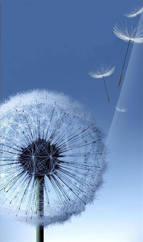 How to make among us live iphone android wallpaper. Galaxy SIII Dandelion Live Wallpaper