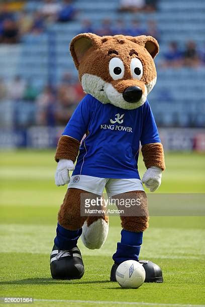Filbert Fox Photos And Premium High Res Pictures Getty Images