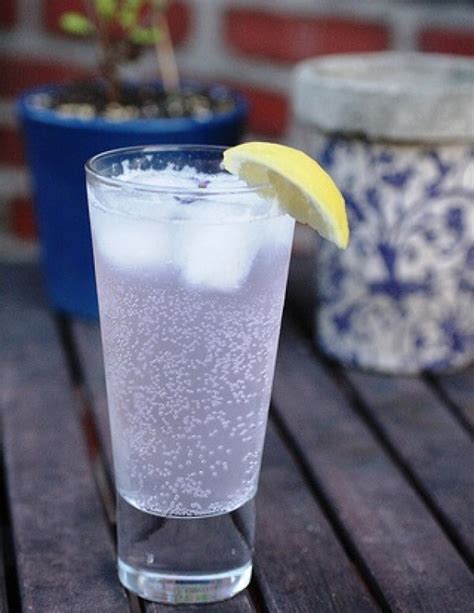 Top 10 Carbonated Recipes For Homemade Fizzy Drinks