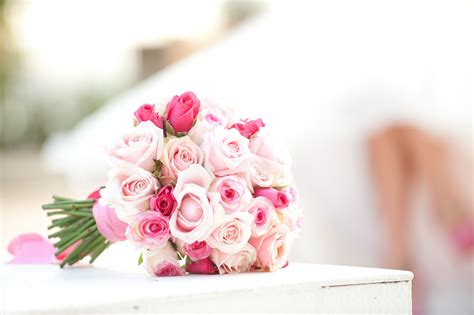 Ciao laura, con i piccoli fiori si fa un tè aromatico, l'oolong all'osmanto e in molti lo tengono in giardino: Il fascino di un fiore è nelle sue contraddizioni - così ...