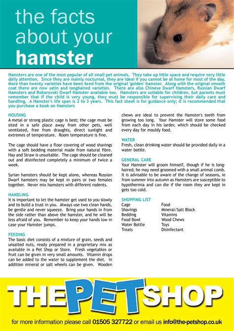 Hamster Facts Sheet Hamster Fact Sheet 2 Differentiated Workshee