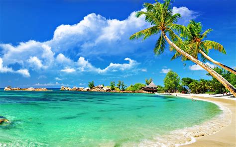 50 Amazing Beach Wallpapers Free To Download Travel