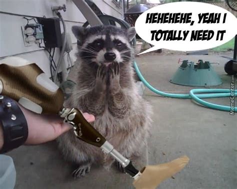 19 Funny Rocket Raccoon Meme You Never Seen Before Memesboy