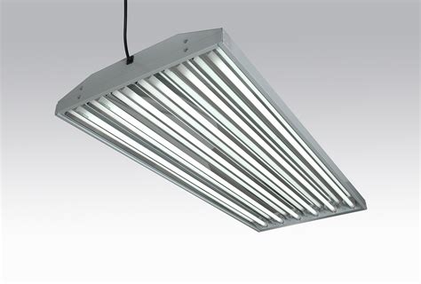 We did not find results for: T8 vs. T5: How To Determine Which Light Is The Right Light