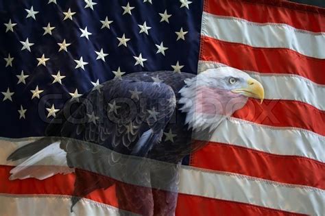 American Flag With American Bald Eagle Stock Photo Colourbox