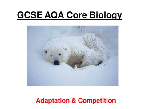 Gcse Core Aqa Biology Adaptations Competition And Indicator Species