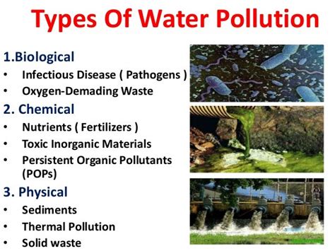 😀 3 Types Of Pollution Types And Causes Of Pollution 2019 01 25