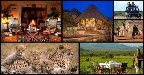 Kenya Luxury Safari Packages Exclusive Tours By Professionals