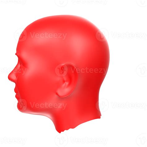 Free 3d Rendering Of Human Bust 17778148 Png With Transparent Background