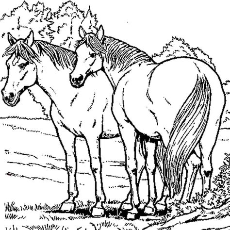 Coloriage De Chevaux en Ligne Gratuit à imprimer