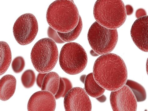 Hemoglobin reduction might be indirectly related to low calcium levels in the blood. Do Certain Foods Raise Hemoglobin Blood Levels ...