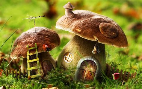 Free Download Mushroom House Nature Digital Art Wallpapers Hd Desktop
