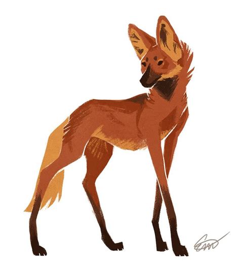 Short Eared Dog Canine Art Furry Art Character Art