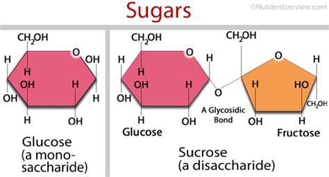 What Is The Chemical Makeup Of Sugar Mugeek Vidalondon