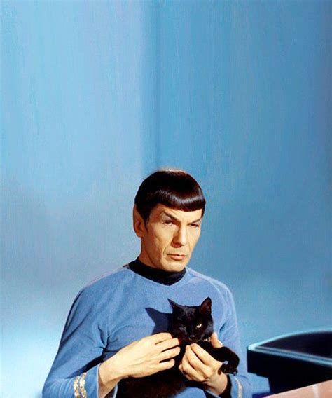 Veridical Dreams Celebrities With Cats Cat People Star Trek