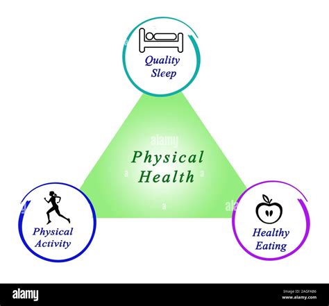 Diagram Of Physical Health Stock Photo Alamy