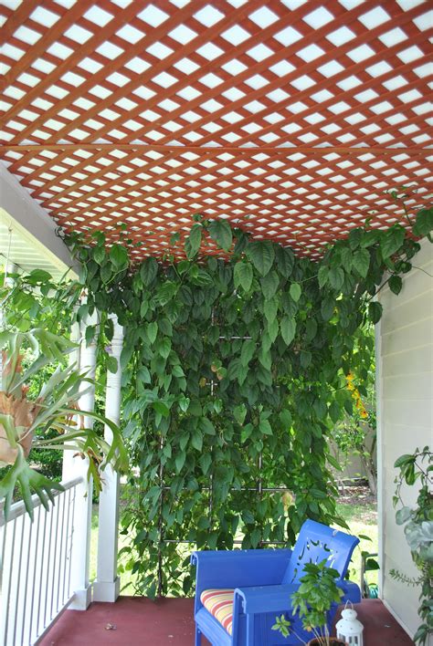 Shop lattice and a variety of building supplies products online at lowes.com. Lattice work on the ceiling of front porch. Great for ...