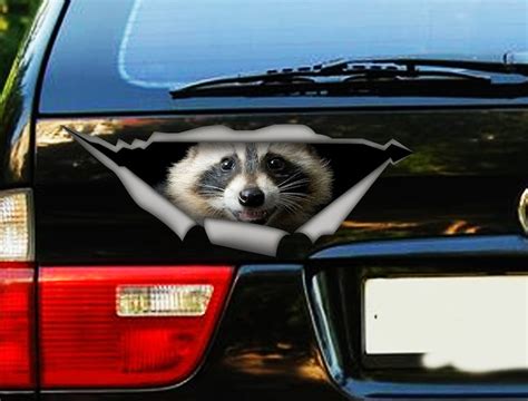 Raccoon Car Decal Animal Decal 3d Sticker Vinyl Decal Etsy