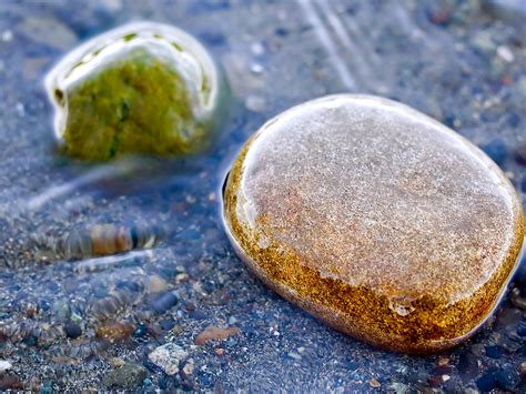 Beautiful Stone Macro On Beach Wallpapers Hd Desktop And Mobile