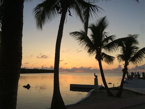 You don't have to live in the. ️Layton, lime tree hotel, key west Florida. #bucketlist ...