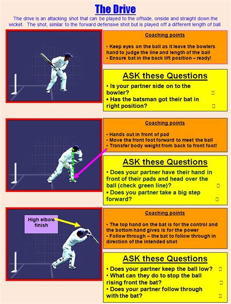 Cricket Batting Card For The Drive Teaching Resources Cricket