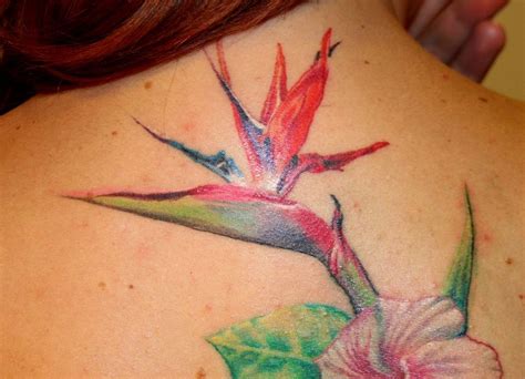 Bird Of Paradise Flower Tattoo Meanings Designs And Ideas 2022 Kulturaupice
