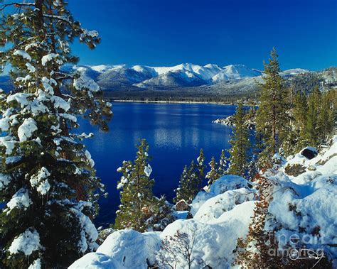 Lake Tahoe Winter Photograph By Vance Fox