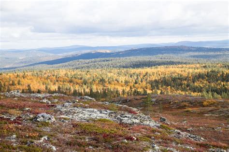 Lemmenjoen Kansallispuisto Metsäerämaata Ja Tuntureita Matkalla