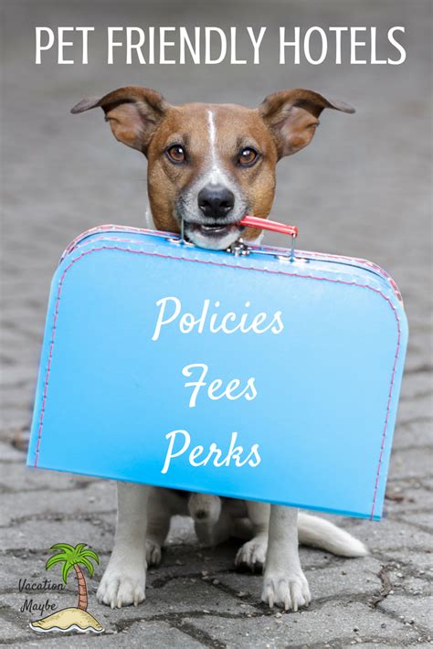 Price for 1 night 2 adults*. Pet Friendly Hotel Chains No Fee