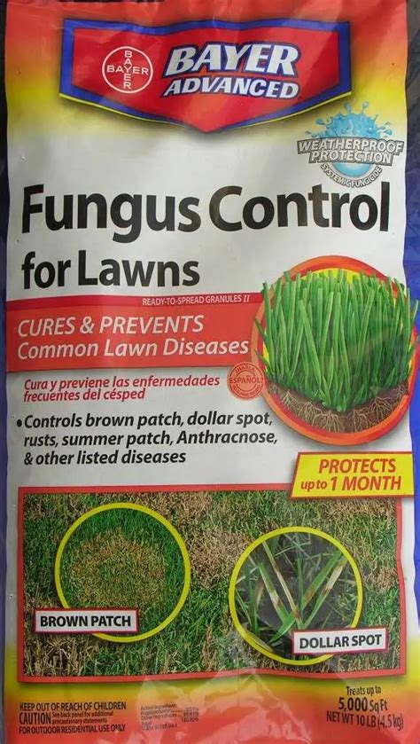 How To Control Lawn Fungus