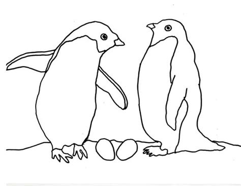 My youngest has been doing. Képtalálat a következőre: „antarctic animals coloring ...