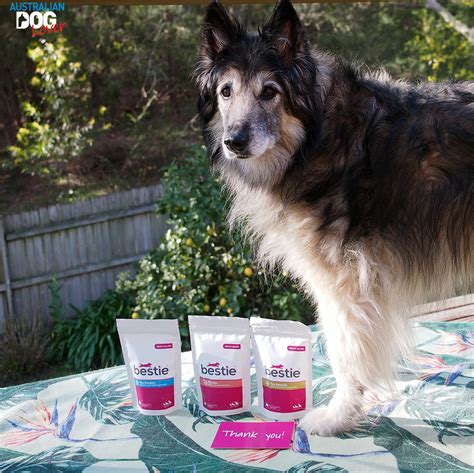 Kitchen connection | from inspiration to installation, kitchen connection will ensure your new kitchen renovation is seamless and stress free. Bestie Kitchen Health Jellies for Dogs - Review ...