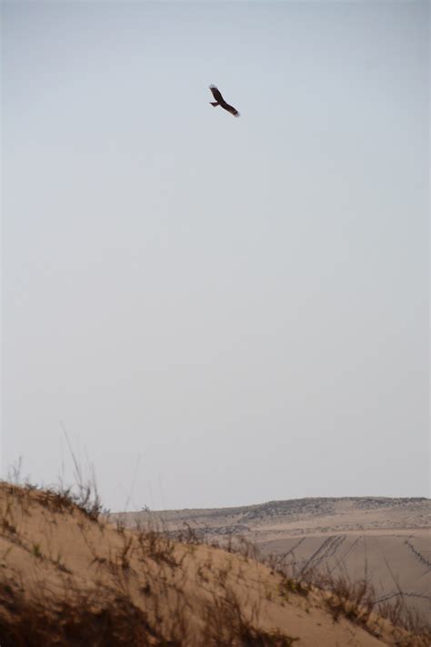 You will also receive your. Exploring the Mysterious Deserts of Japan • We Blog The World