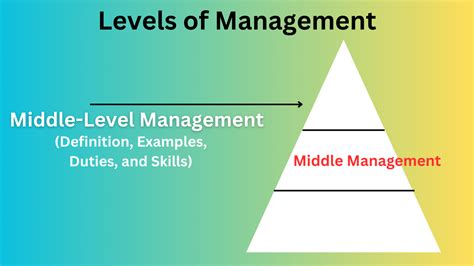 Middle Level Management Duties Examples Skills And Faqs Mbanote