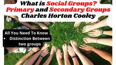 What Are Social Groups Primary Groups Secondary Groups Charles