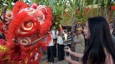 Lunar New Year In Pictures Bbc News