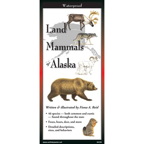 Land Mammals Of Alaska Earth Sky Water