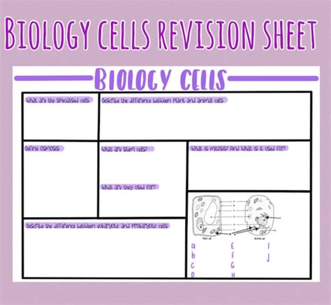 Biology Cells Revision Sheet Gcse Revision Etsy Uk
